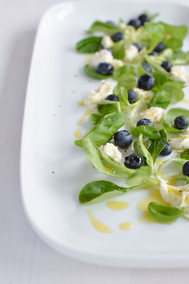 Blueberry Caprese Salad - Lauren Caris Cooks
