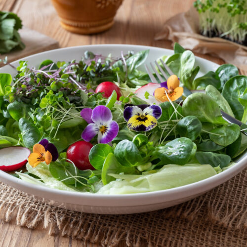 Spring salad with edible flowers - pansies, lamb's lettuce and fresh broccoli and kale microgreens.
