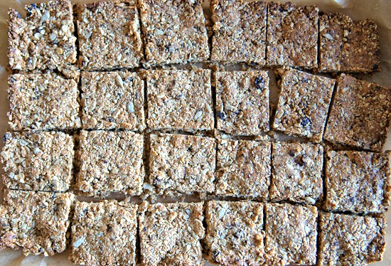 fruit and seed bars