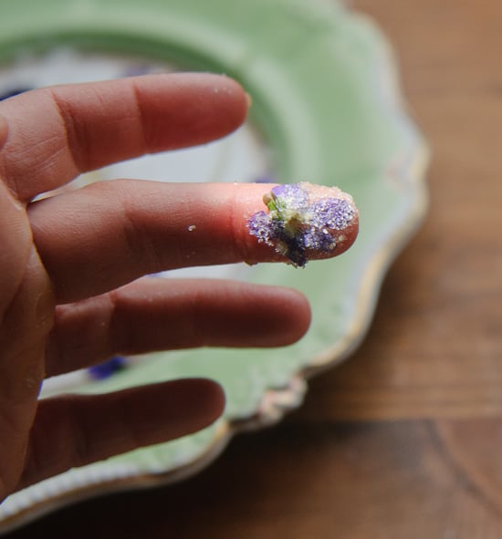 candied violet flower on fingertip.