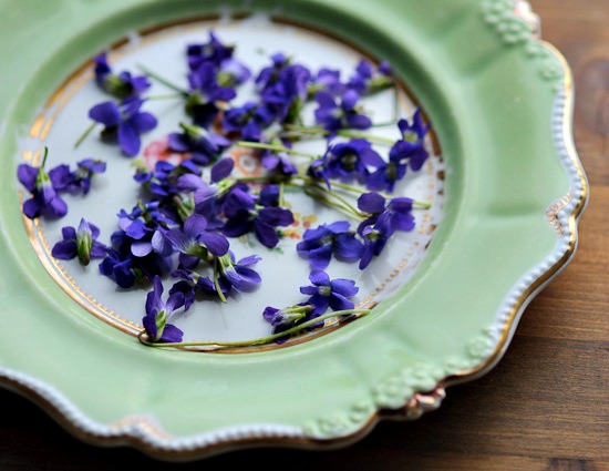 violet flowers on a fancy plate.