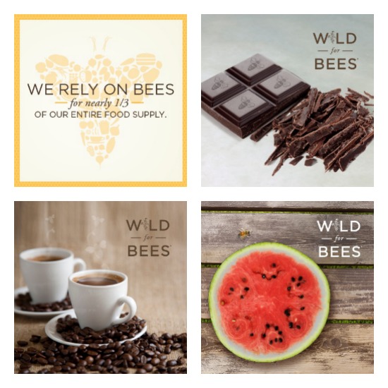 Wild For Bees Campaign | Healthy Green Kitchen